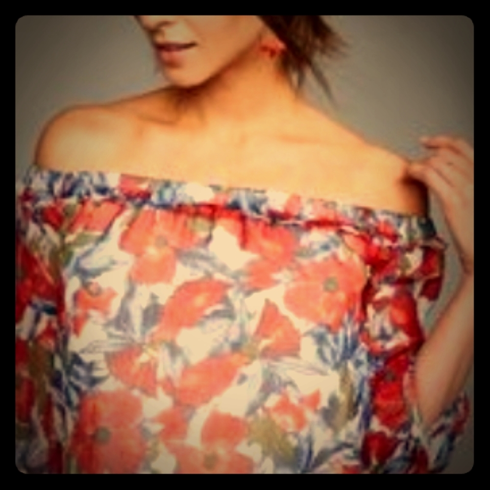 Pea in the Pod Off shoulder Blouse